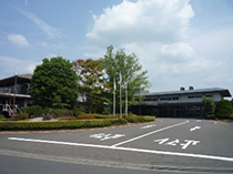 NunEX